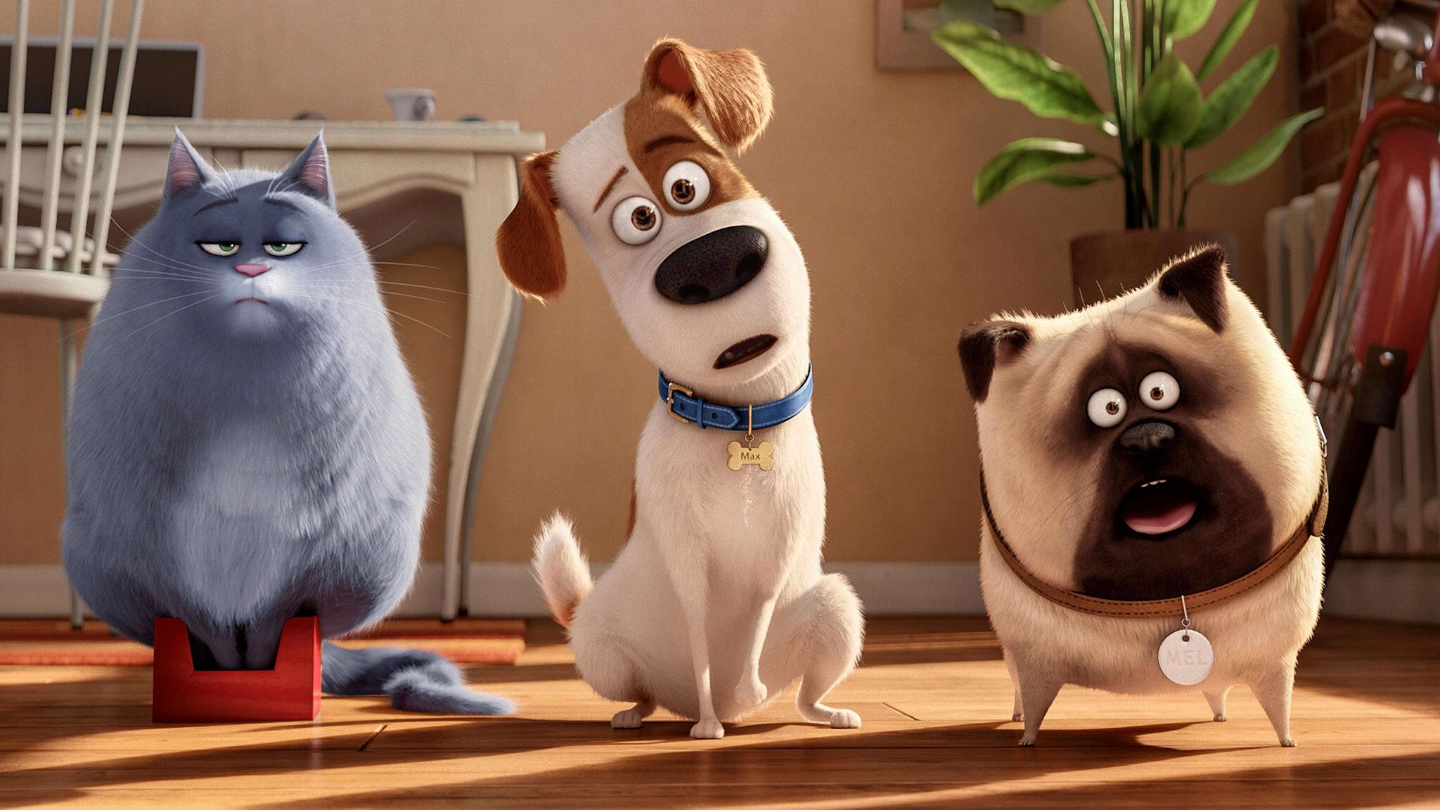 Название услуги